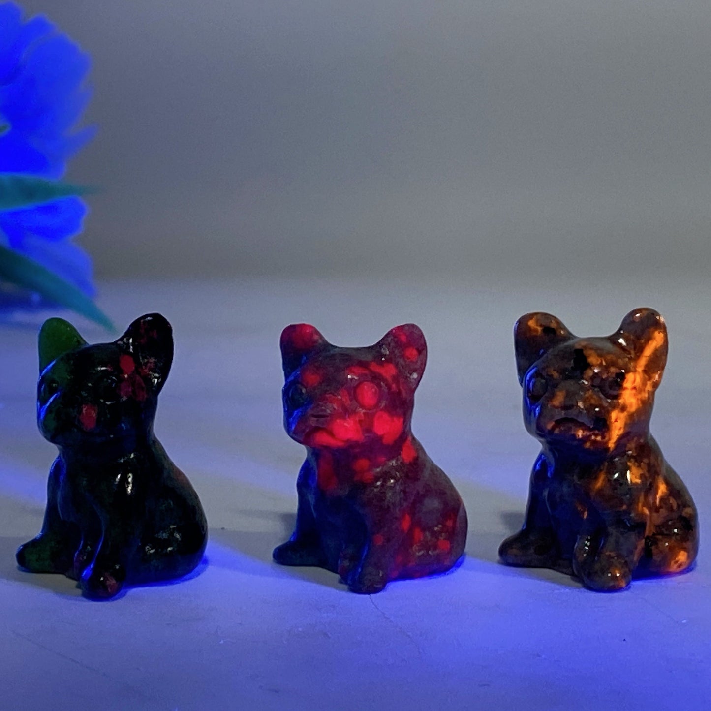 1.1" Crystal Bulldog Carvings Crystal Healing Crystal Healing Bulk Wholesale
