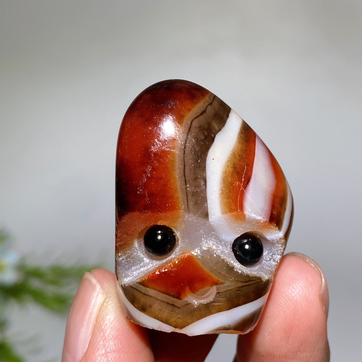 1.4"-2.0" Sardonyx Groot Head Crystal Healing Bulk Wholesale