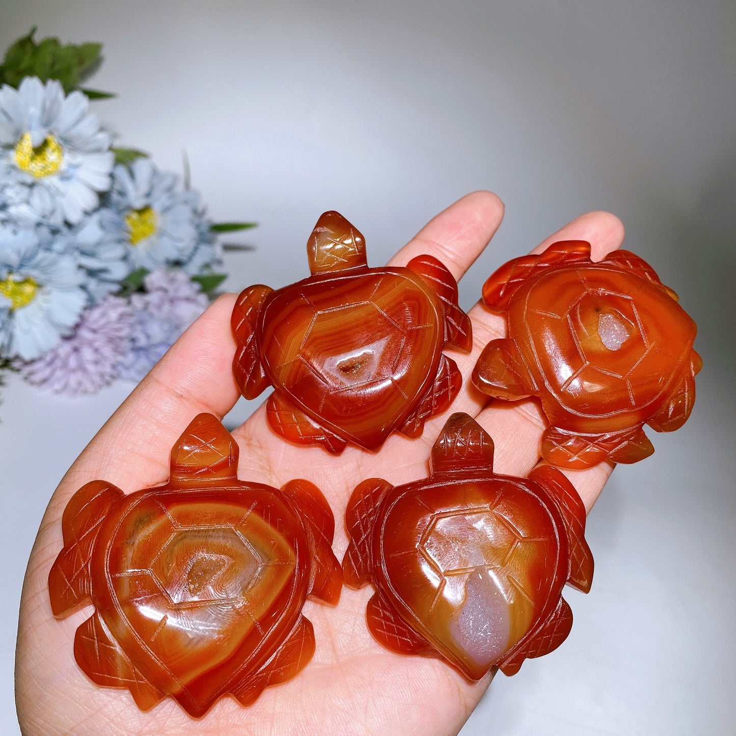2.0"-2.2" Carnelian Turtle Carving Crystal Healing Bulk Wholesale