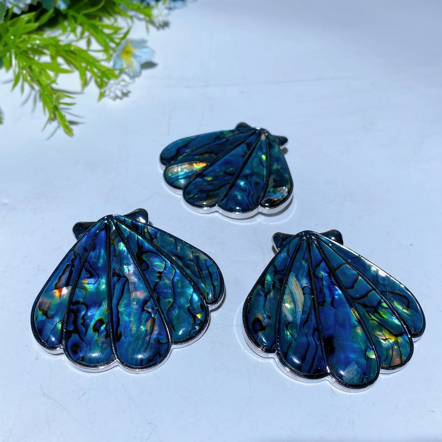 2.0" Abalone Shell Brooch Pendant Shell Shape Crystal Healing Bulk Wholesale