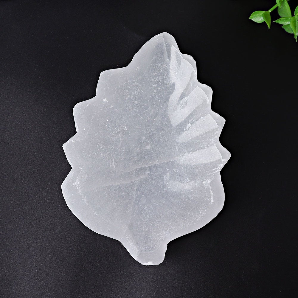 4.8" Selenite Leaf Shape Bowl Crystal Carving Wholesale Crystals USA