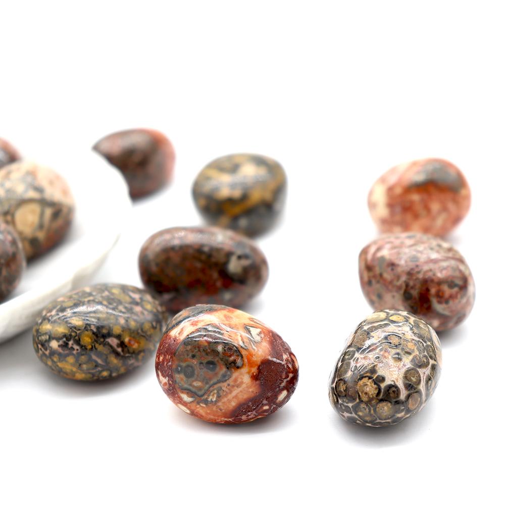 0.1kg High Quality Leopard Skin Jasper Tumble Stone Wholesale Crystals USA