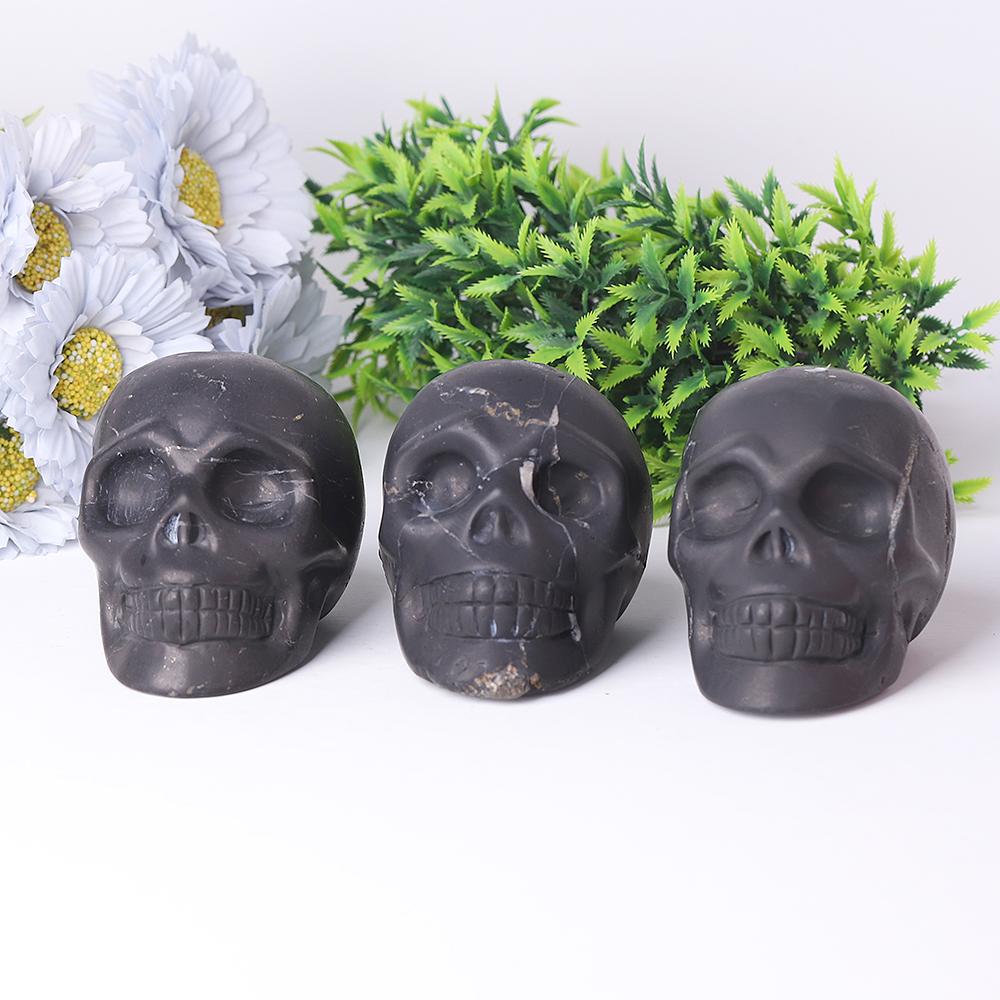Shcungite Crystal Skull Carvings Wholesale Crystals USA