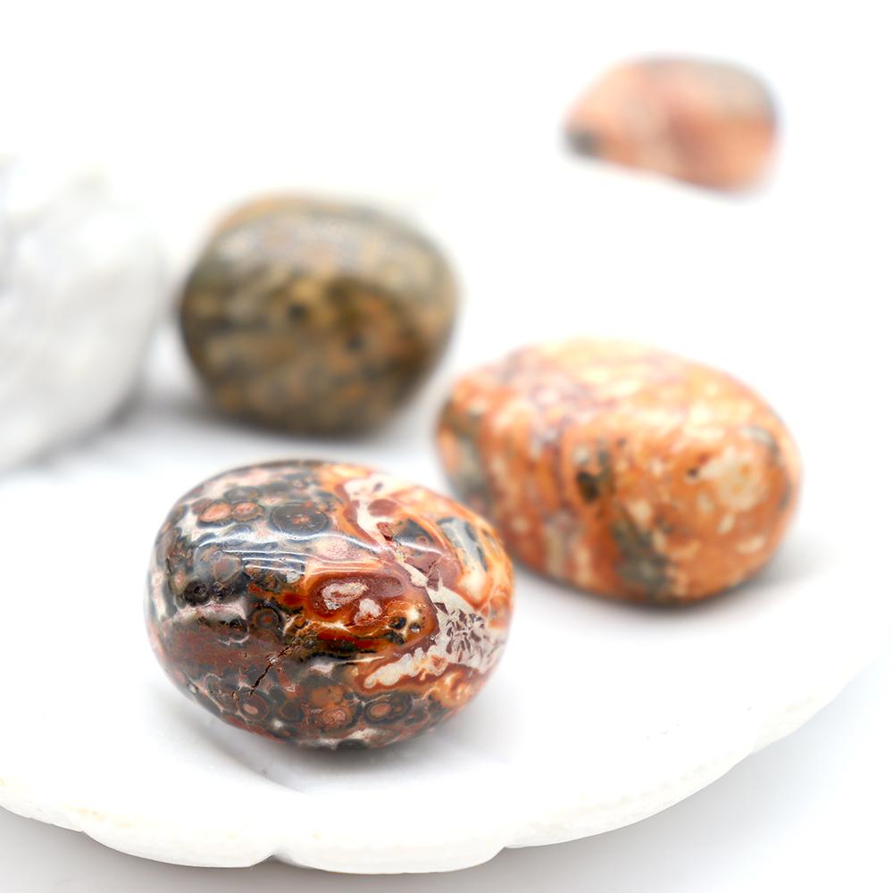0.1kg High Quality Leopard Skin Jasper Tumble Stone Wholesale Crystals USA