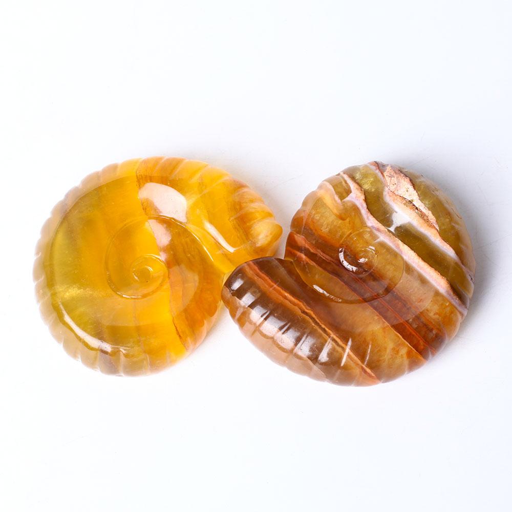 Unique Fluorite Snail Shell Shape Crystal Carving Free Form Wholesale Crystals USA