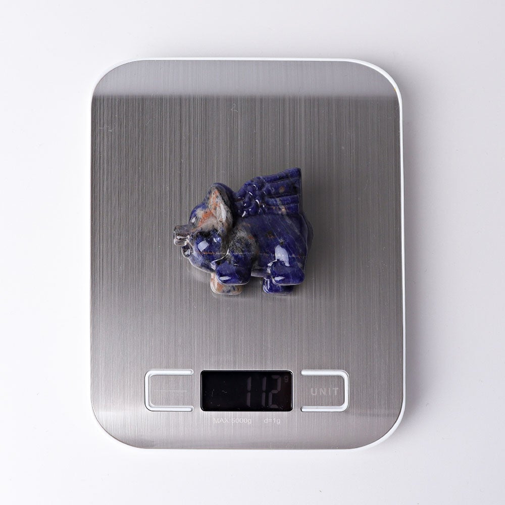 2.3" Sodalite Flying Pig Crystal Carvings Wholesale Crystals USA
