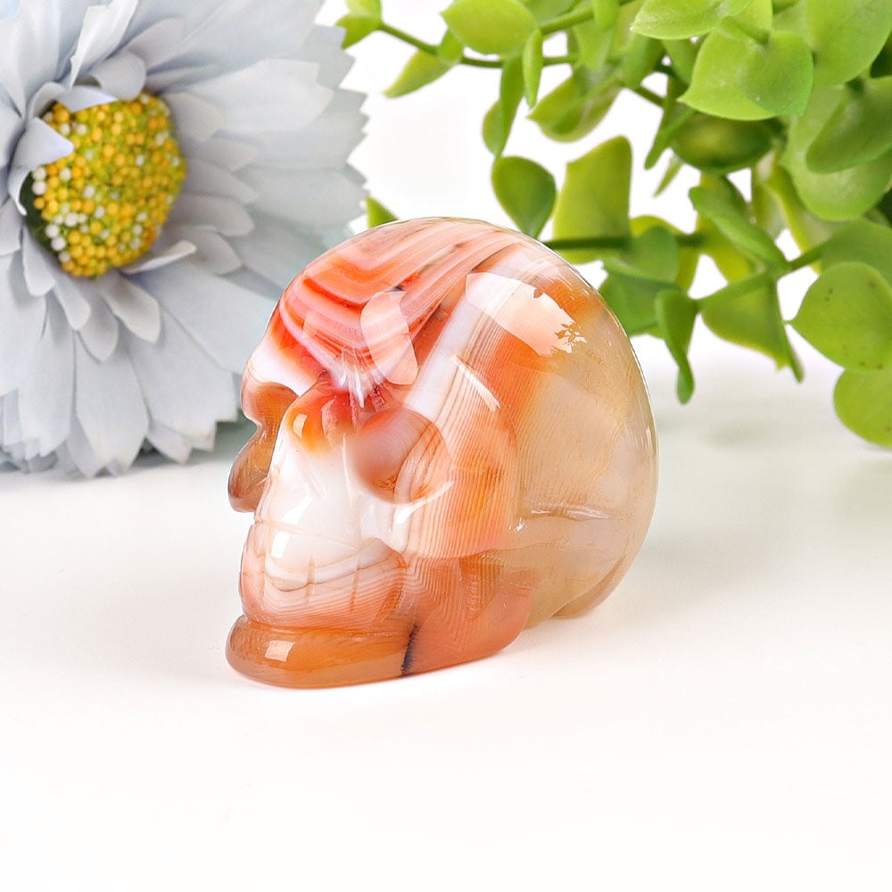 2" Sardonyx Skull Crystal Carvings Wholesale Crystals USA