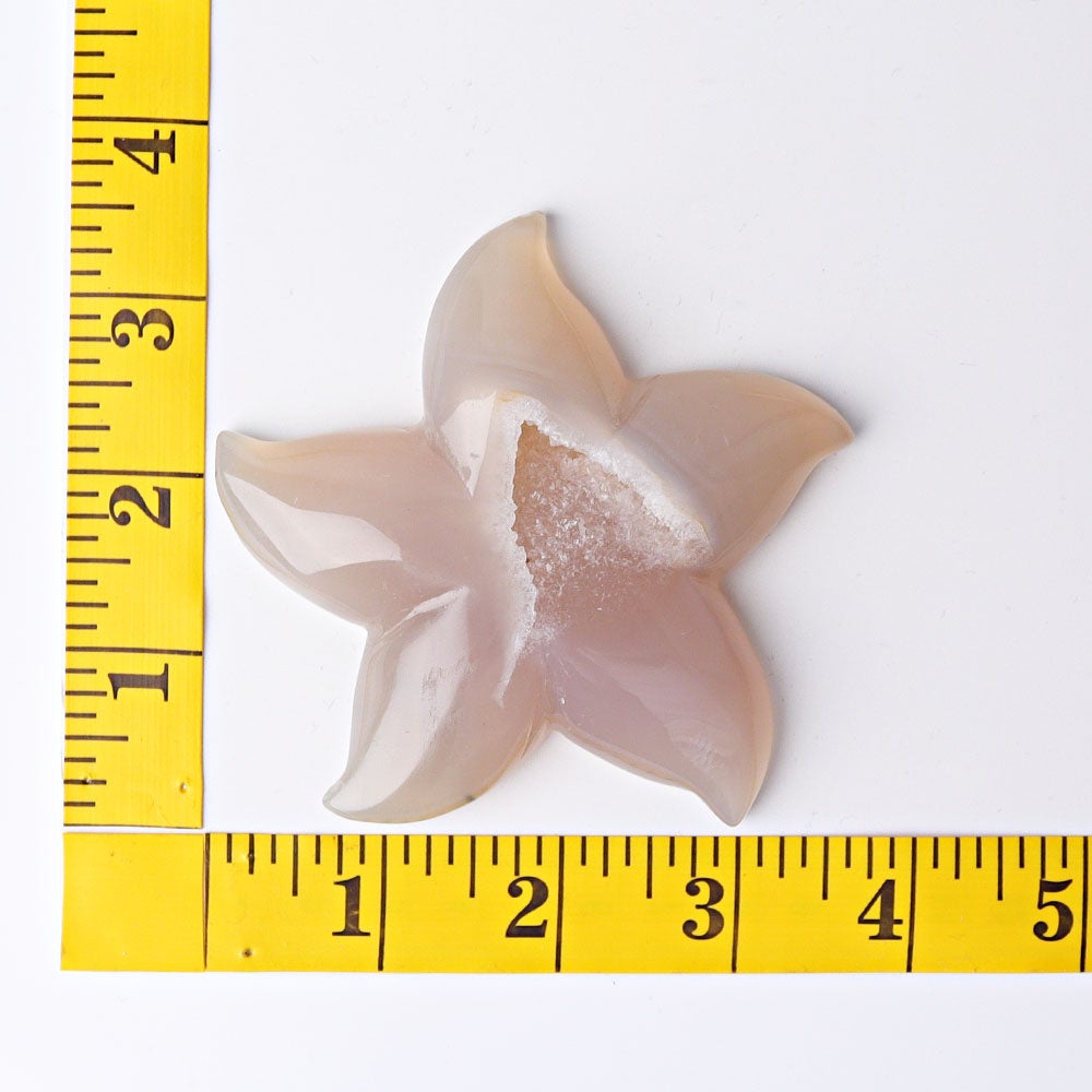 3.0"-3.5" Druzy Agate Starfish Crystal Carvings Wholesale Crystals USA