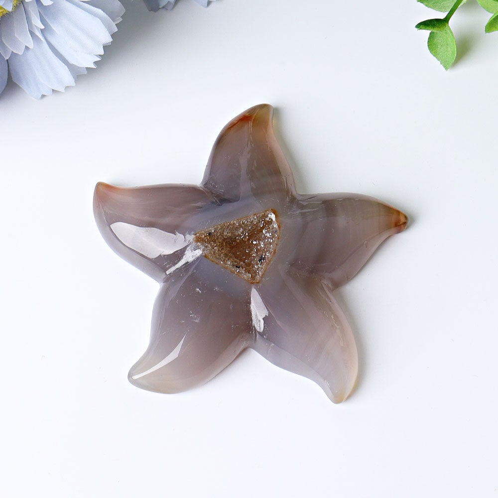 3.0"-3.5" Druzy Agate Starfish Crystal Carvings Wholesale Crystals USA