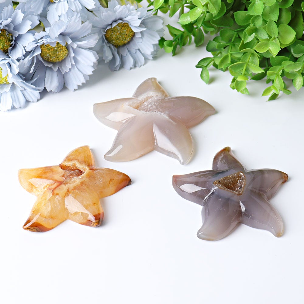 3.0"-3.5" Druzy Agate Starfish Crystal Carvings Wholesale Crystals USA