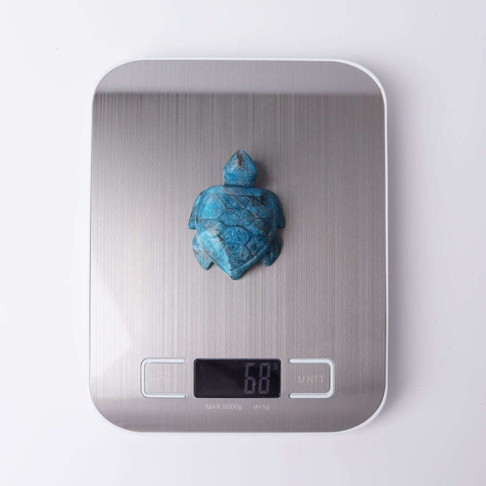 2.3" Blue Apatite Sea Turtle Crystal Carvings Wholesale Crystals USA