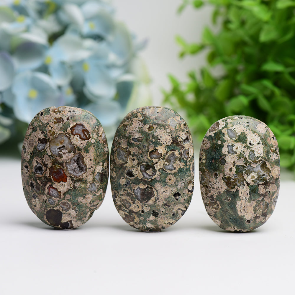 2.4" Rainforest Jasper Palm Stone Wholesale Crystals USA