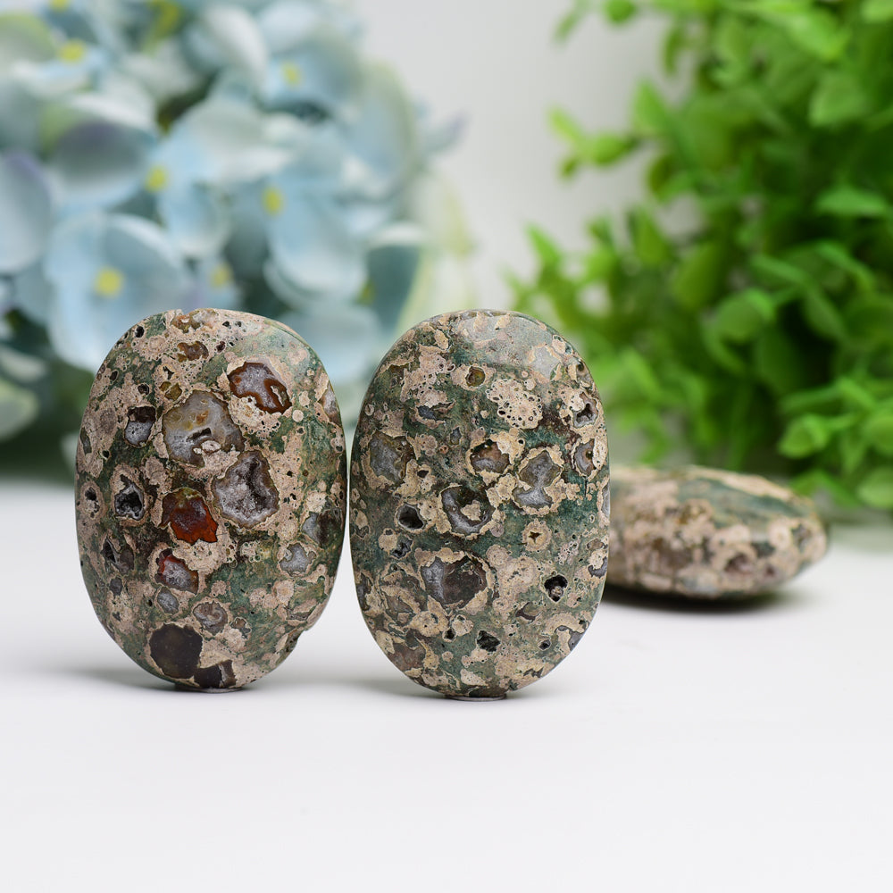 2.4" Rainforest Jasper Palm Stone Wholesale Crystals USA