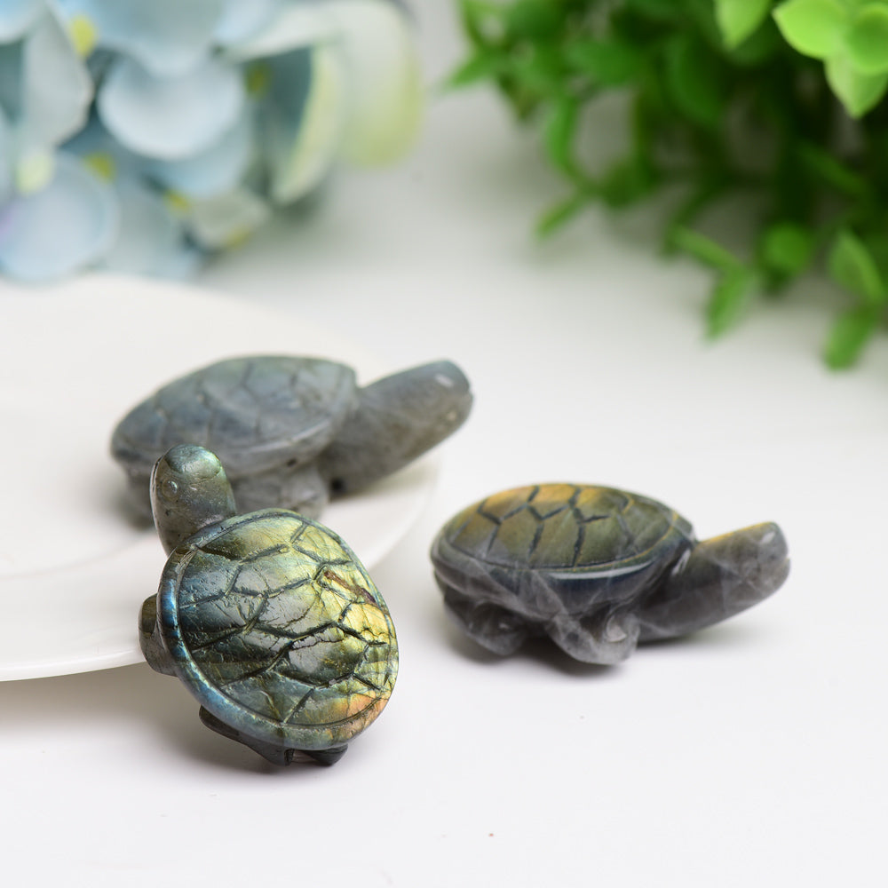 1.6" Labradorite Turtle Animal Crystal Carving Wholesale Crystals USA