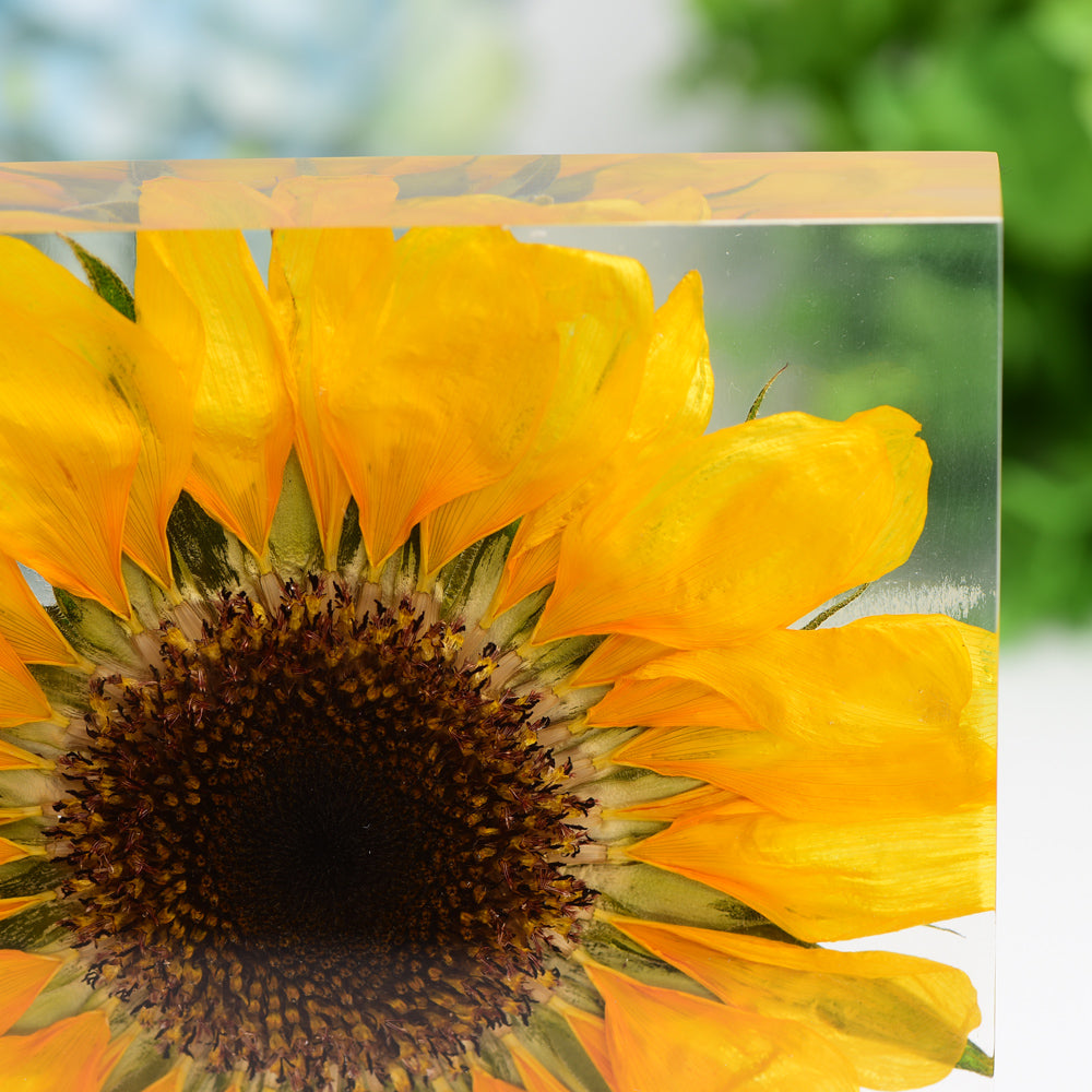 4.6" Square Resin with Sun Flower Free Form for Home Decor Bulk Wholesale Wholesale Crystals USA