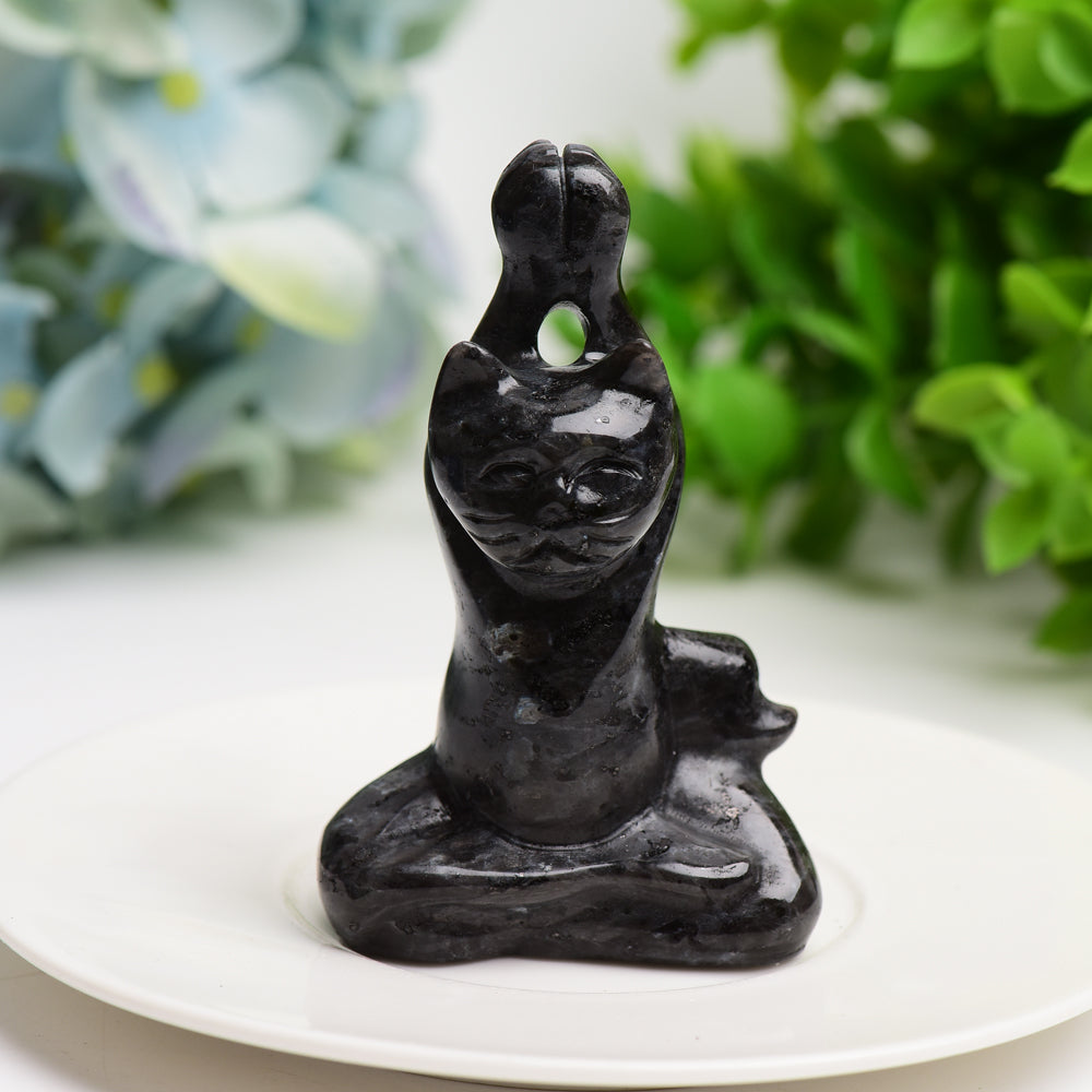3.0" Mixed Crystal Yoga Cat Crystal Carving Bulk Wholesale Crystals USA