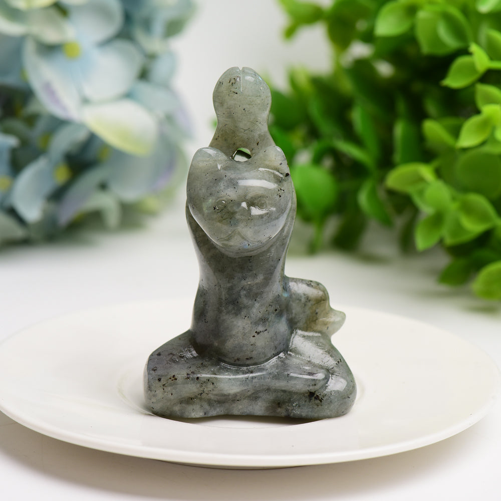 3.0" Mixed Crystal Yoga Cat Crystal Carving Bulk Wholesale Crystals USA