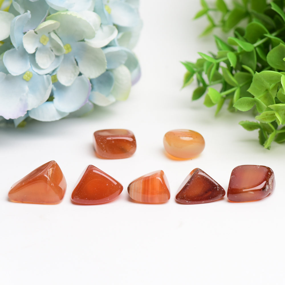Carnelian Crystal Tumbles Bulk Wholesale Crystals USA