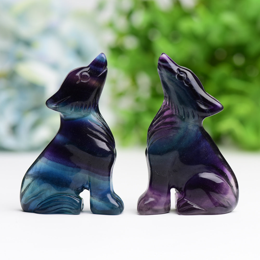 3.0" Rainbow Fluorite Wolf Wholesale Crystals USA