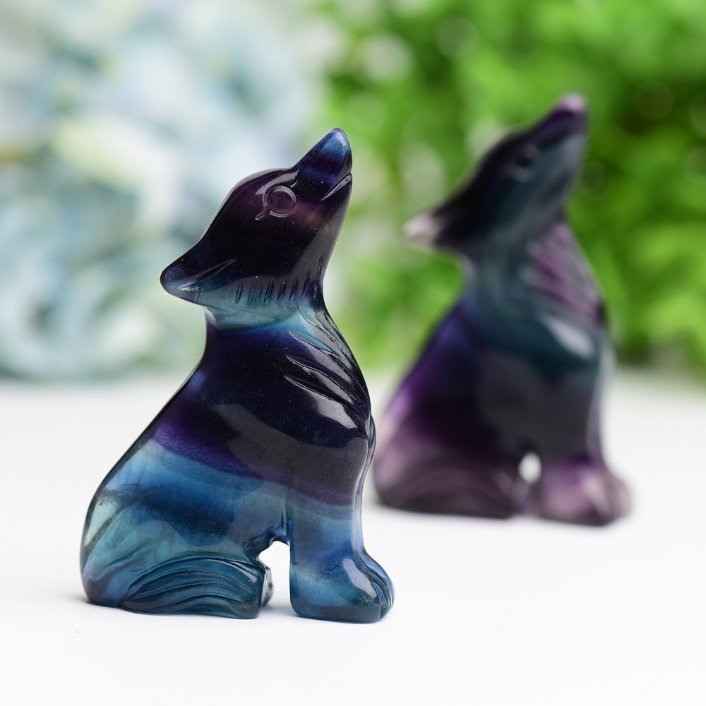 3.0" Rainbow Fluorite Wolf Wholesale Crystals USA