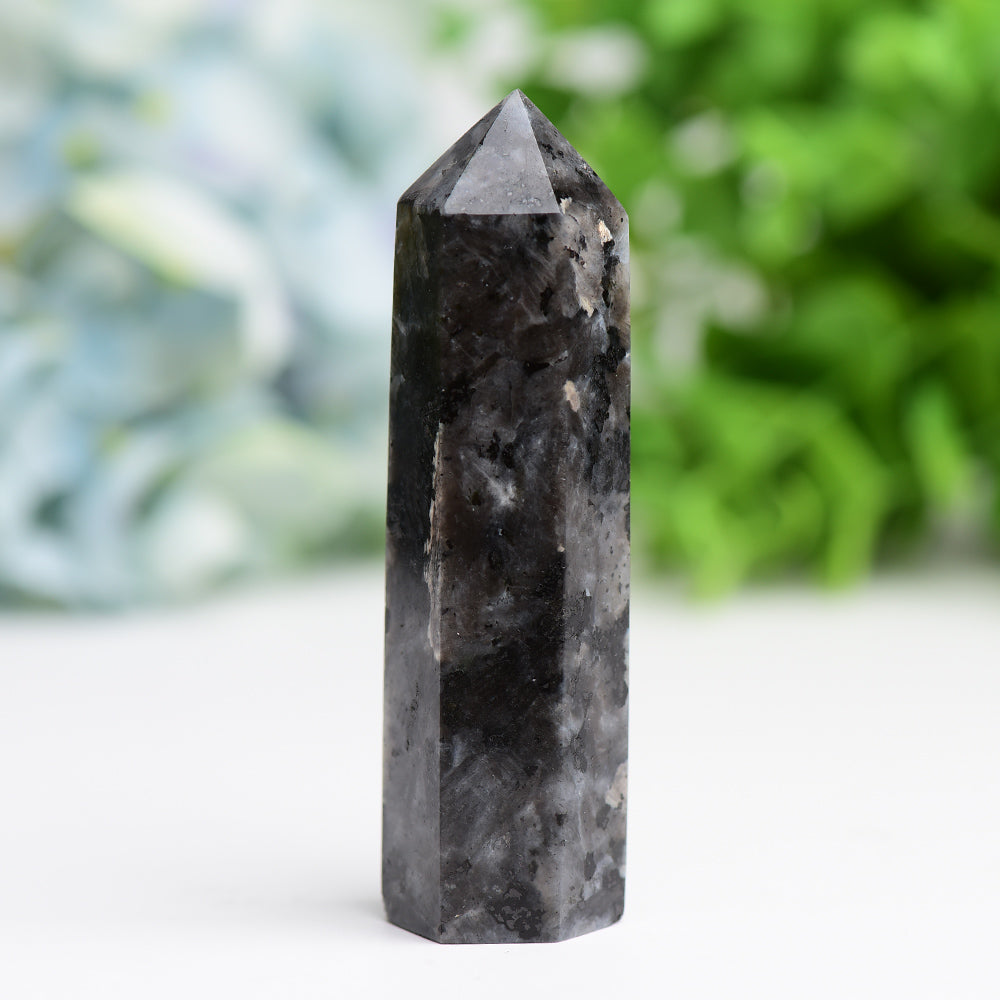 Larvikite Points Wholesale Crystals USA