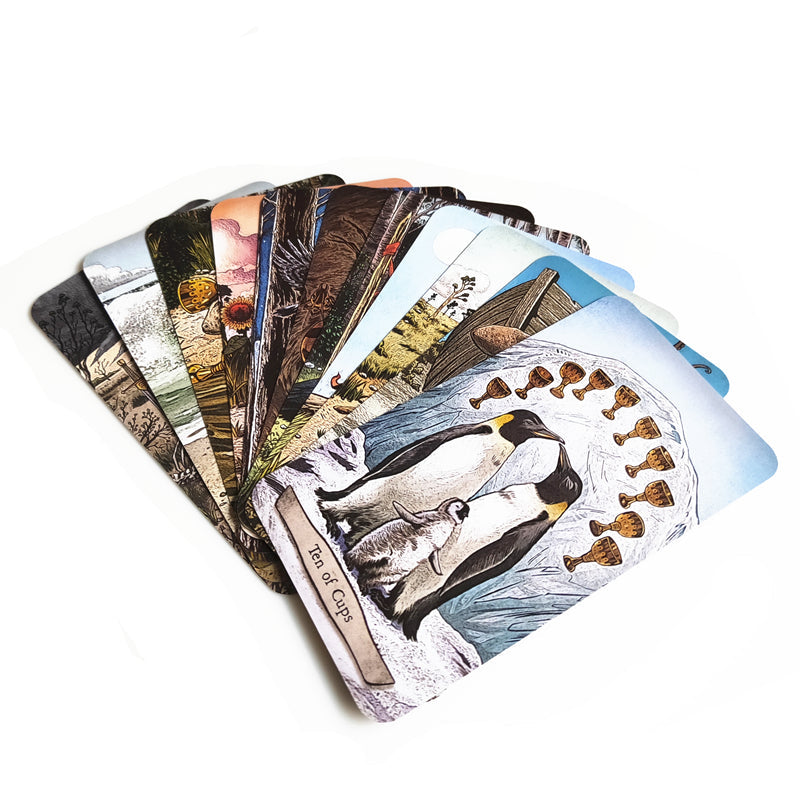 Animal Totem Tarot Bulk Wholesale Crystals USA