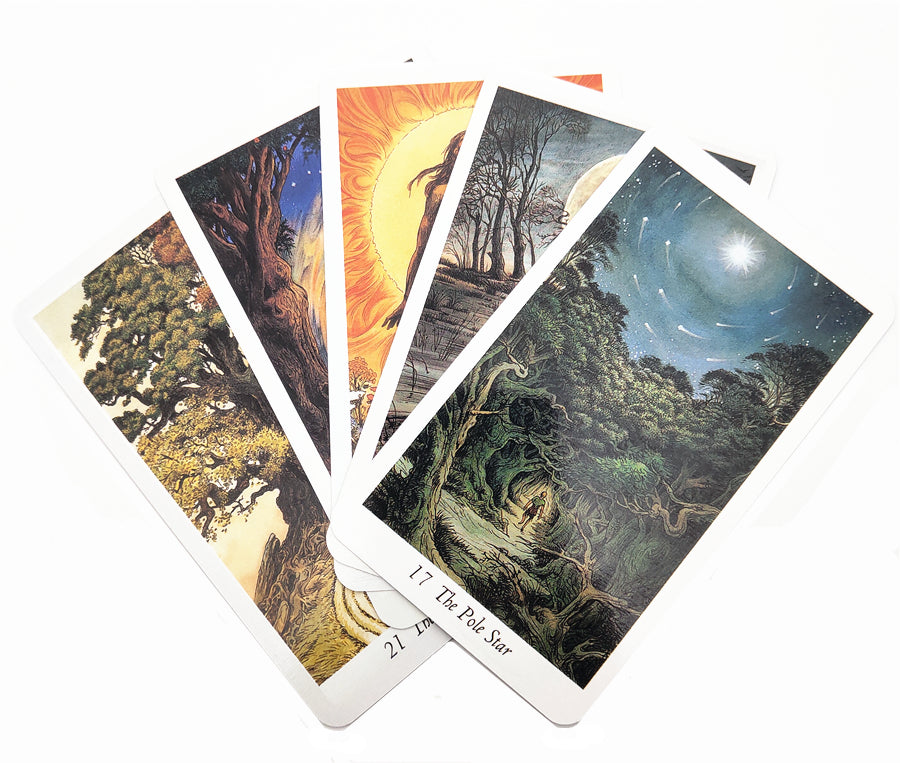 The Wild Wood Tarot Bulk Wholesale Crystals USA