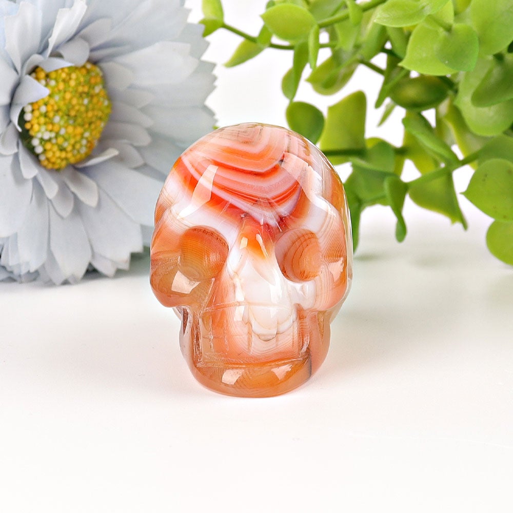 2" Sardonyx Skull Crystal Carvings Wholesale Crystals USA