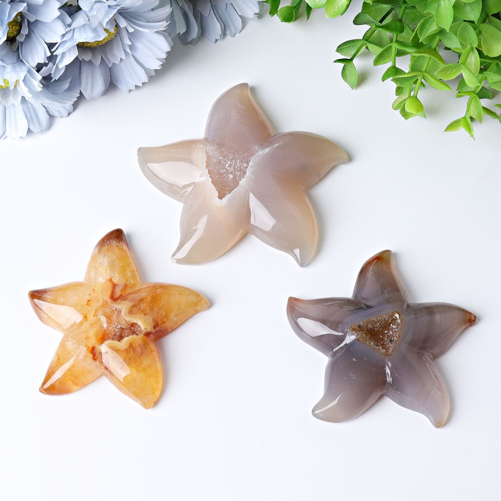 3.0"-3.5" Druzy Agate Starfish Crystal Carvings Wholesale Crystals USA