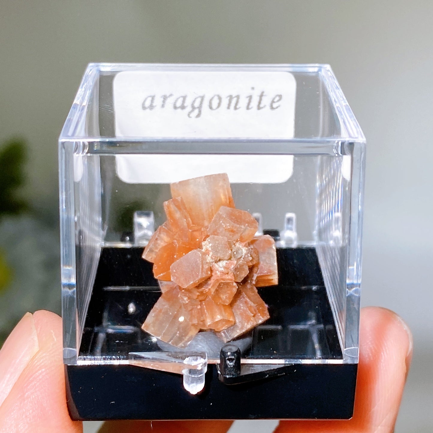72pcs Boxes Specimen Collection Crystal Healing Bulk Wholesale