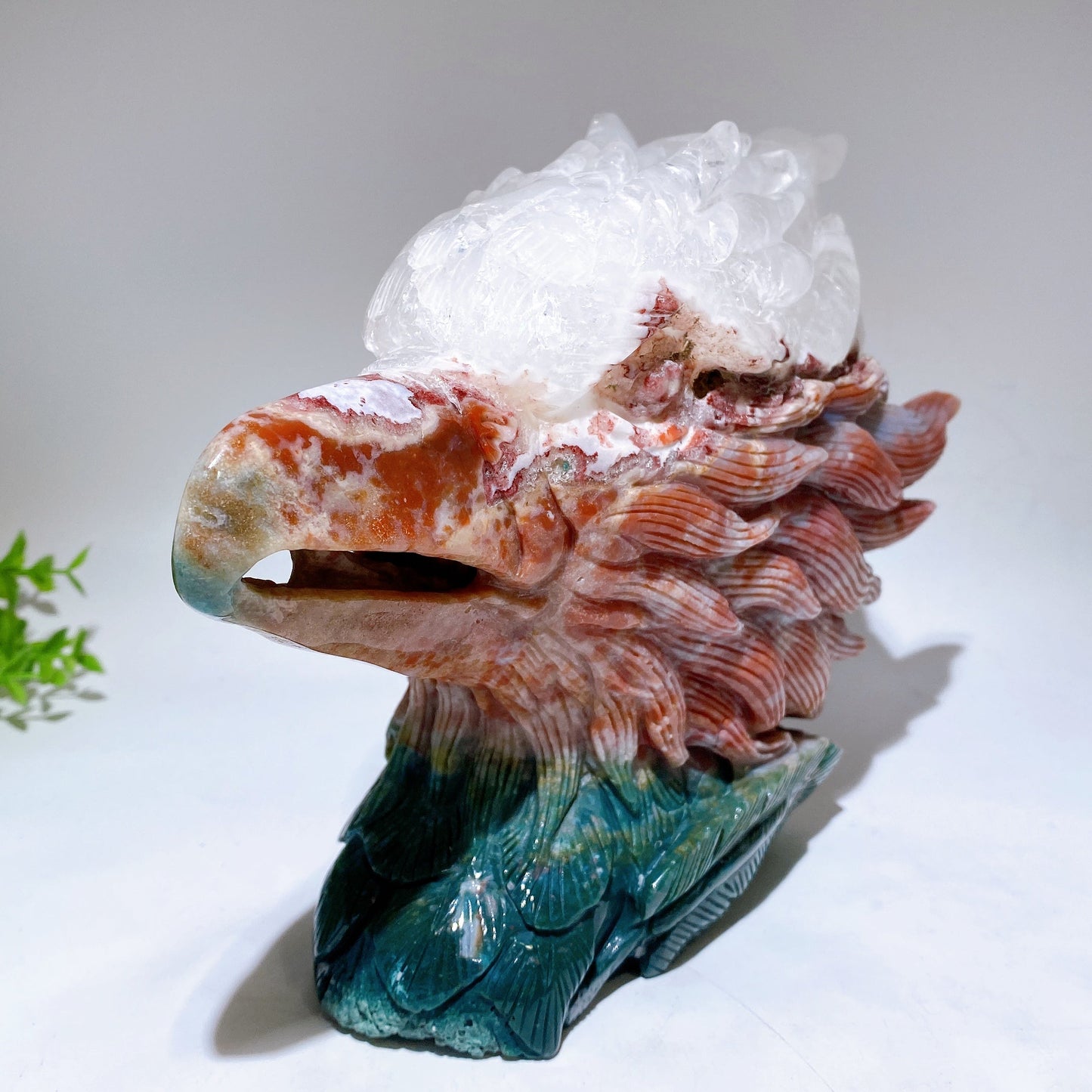30cm Large Unique Ocean Jasper Growing with Quartz Eagle Head Carving Crystal Healing Bulk Wholesale
