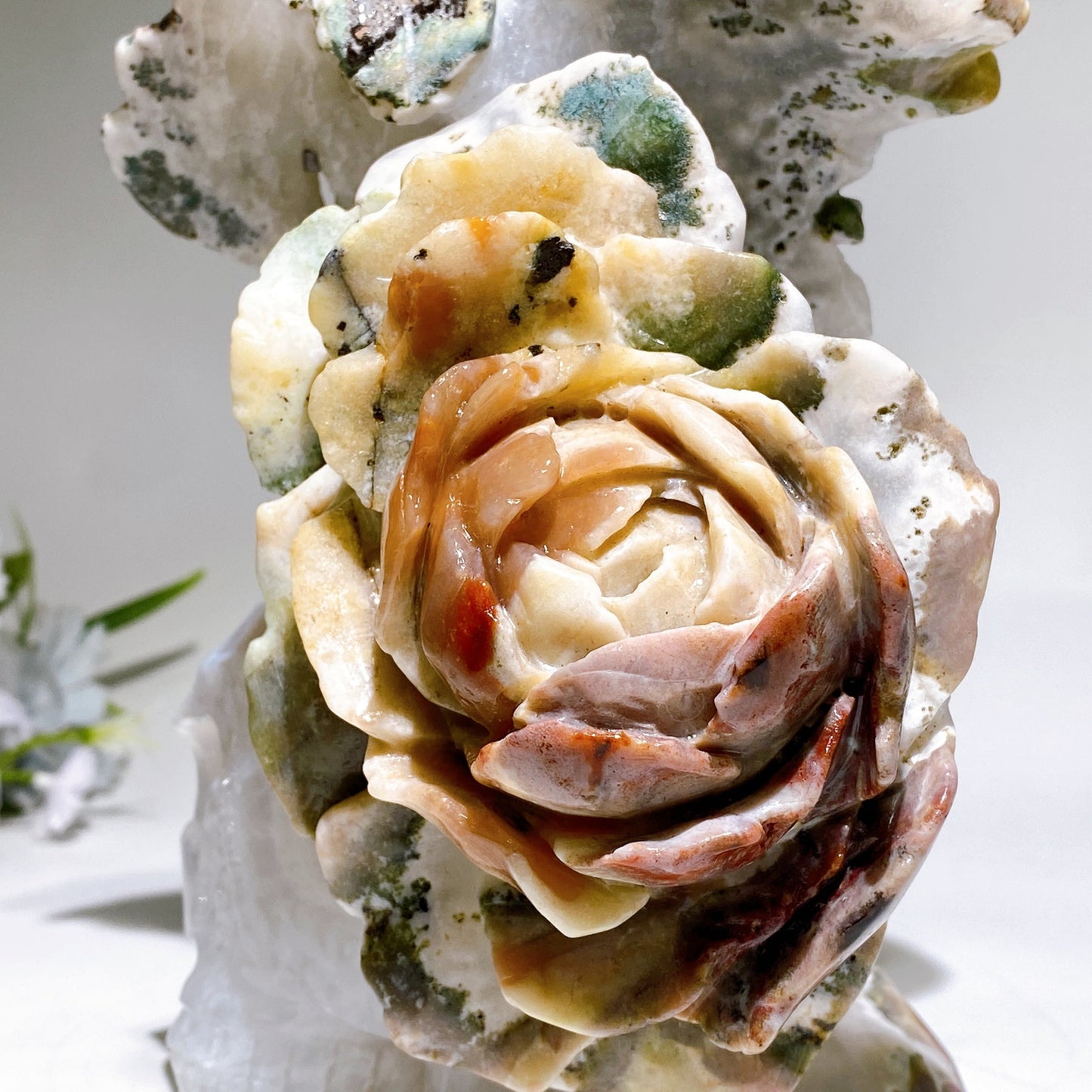 21cm Large Unique Agate Quartz Skull Grow with Ocean Jasper Peony Carving Crystal Healing Bulk Wholesale