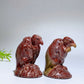 2.0" Picture Jasper Vulture Carving Crystal Healing Bulk Wholesale