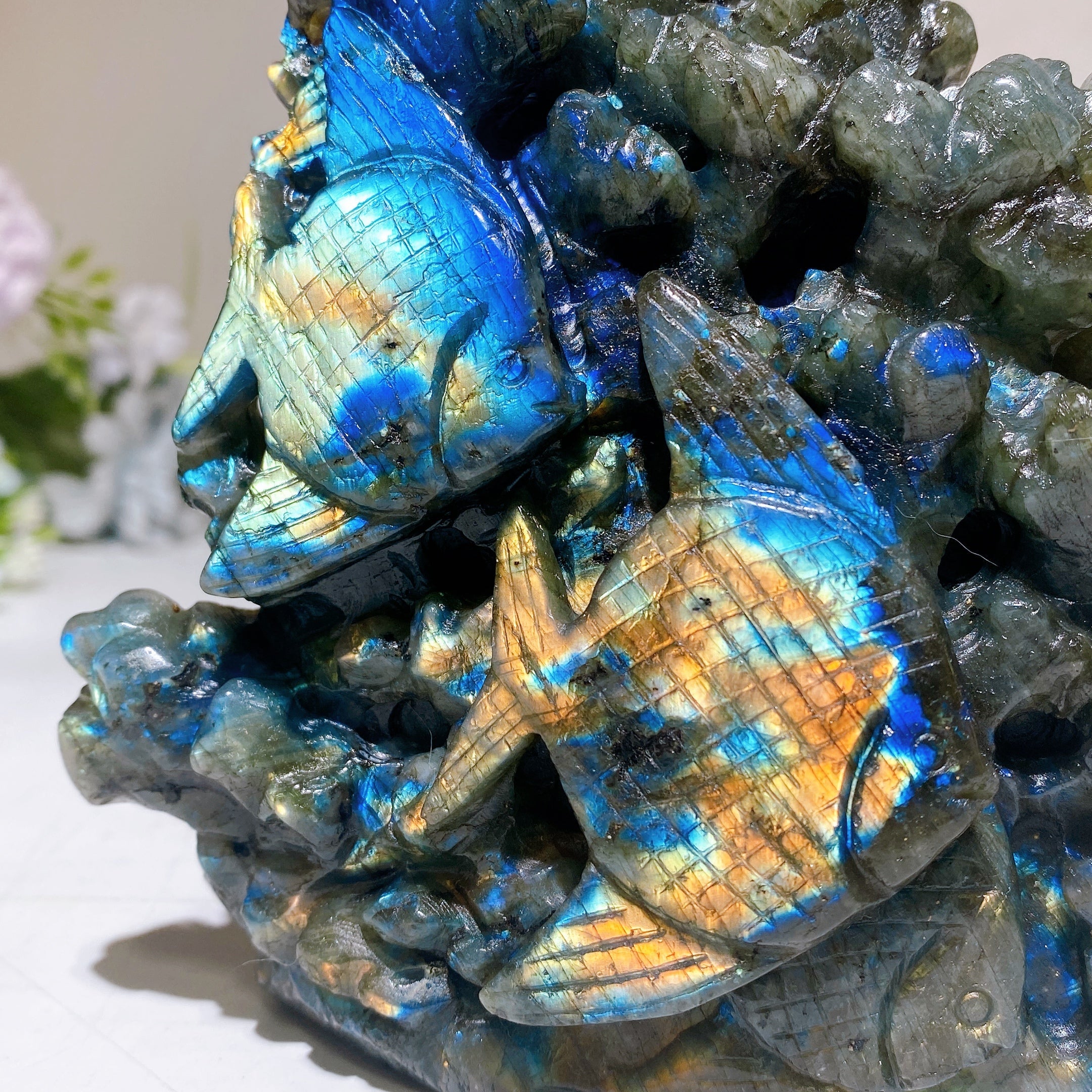 Ocean Jasper wholesale madagascar towers points wands bulk raw