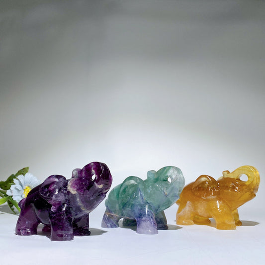 4.2" Greem Purple Yellow Fluorite Elephant Carvings Crystal Healing Bulk Wholesale