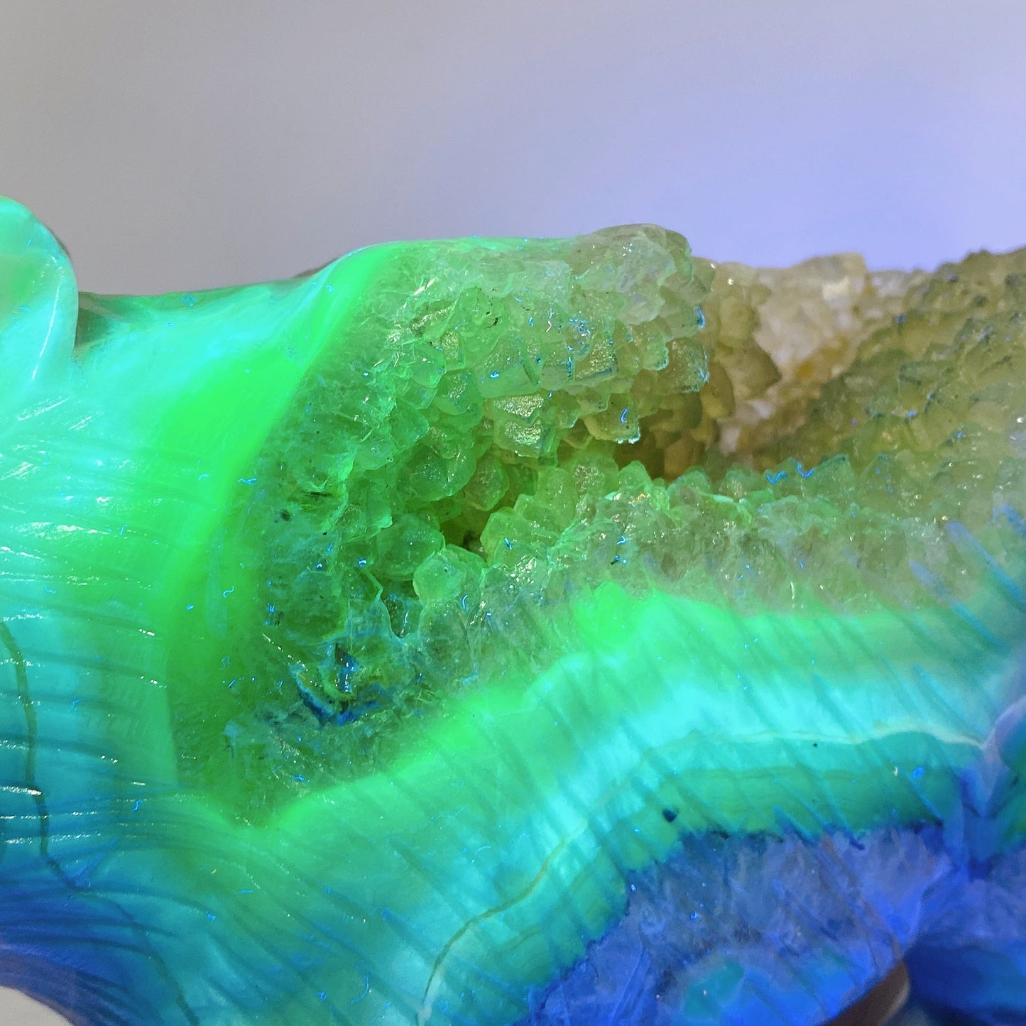 22cm Large Unique Druzy Volcanic Agate Bear Carving Crystal Healing Bulk Wholesale