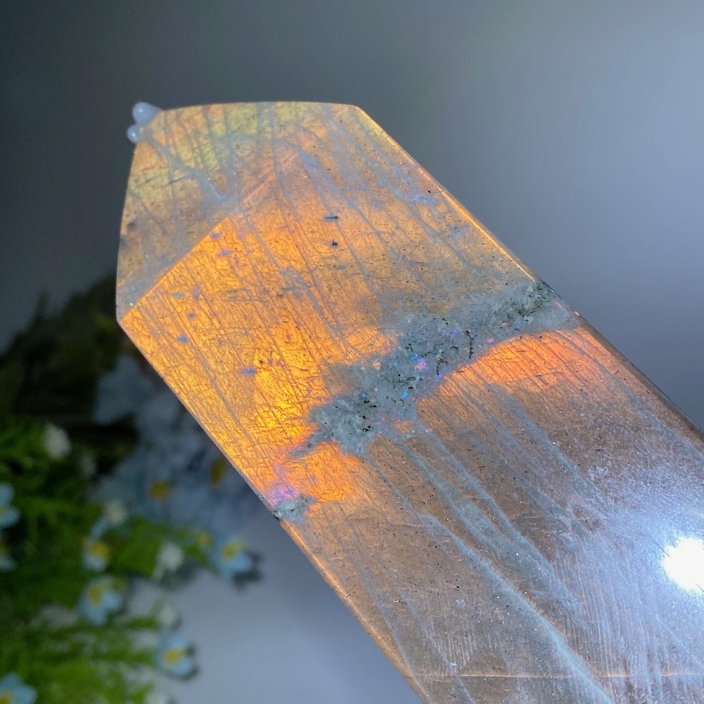 42cm Large Sunset Flash Labradorite Tower with Wooden Stand Crystal Healing