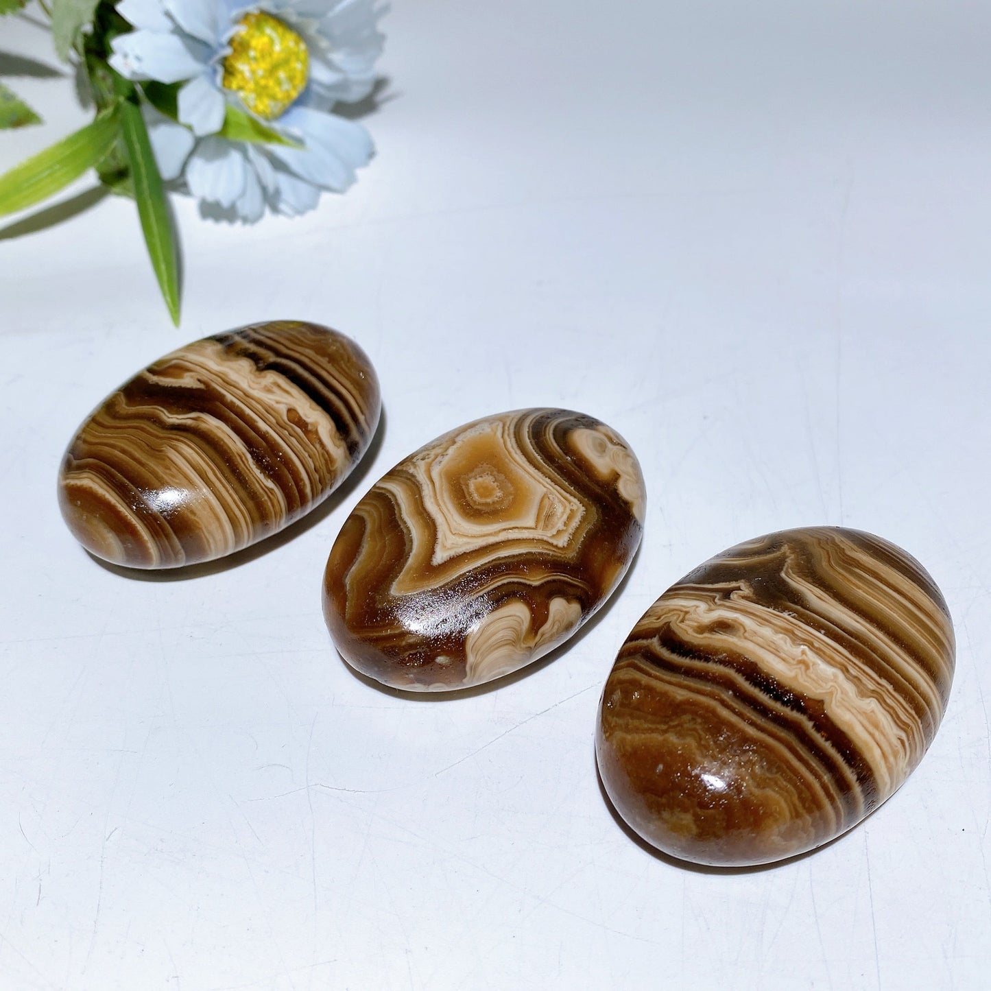 2.4" Chocolate Calcite Palm Stone Crystal Healing Bulk Wholesale