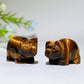 0.9" Yellow Tiger's Eye Pig Carvings Crystal Healing Bulk Wholesale
