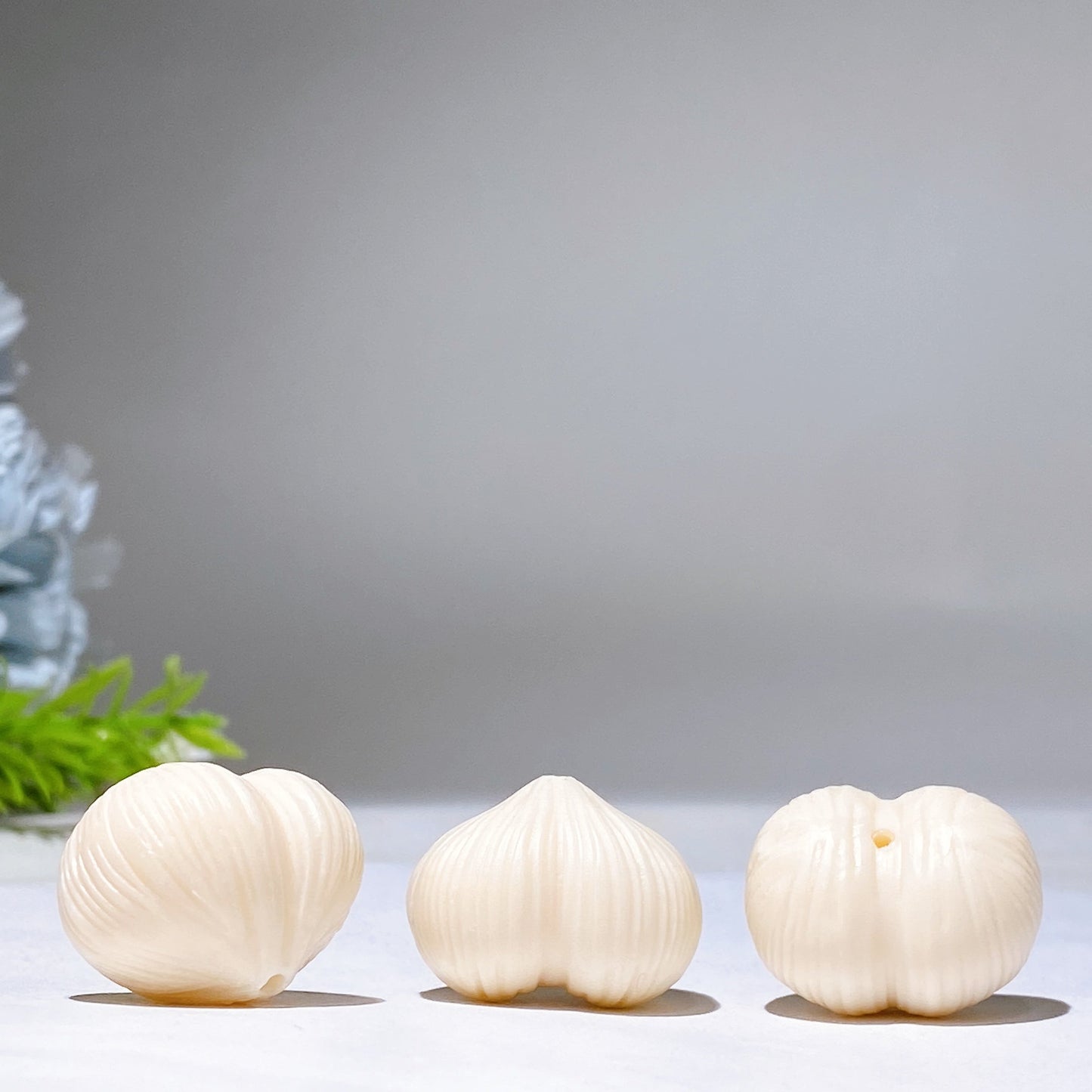 1.0 Ivory Nut Garlic Carving Crystal Healing Bulk Wholesale
