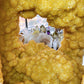62cm Large Unique Full Clusters Citrine Geode with Three-sides Window Specimen Crystal Healing
