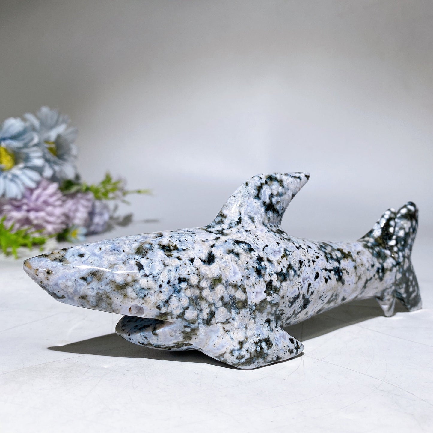 17cm Ocean Jasper Shark Carving Crystal Healing Bulk Wholesale