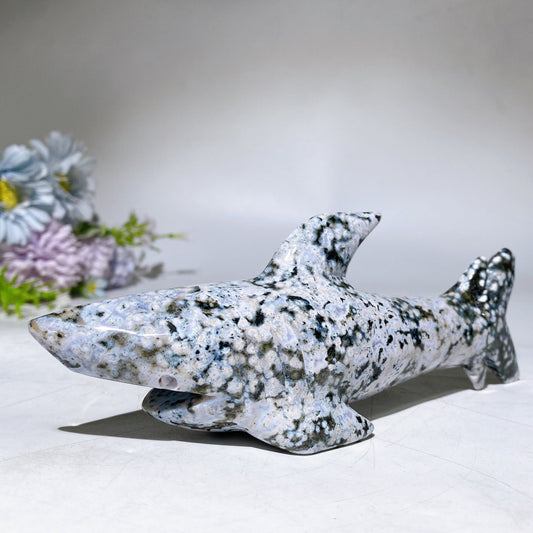 17cm Ocean Jasper Shark Carving Crystal Healing Bulk Wholesale