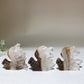 1.8" Clear Quartz Cluster Squirrel Carving Crystal Healing Bulk Wholesale