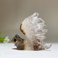 1.8" Clear Quartz Cluster Squirrel Carving Crystal Healing Bulk Wholesale