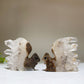 1.8" Clear Quartz Cluster Squirrel Carving Crystal Healing Bulk Wholesale