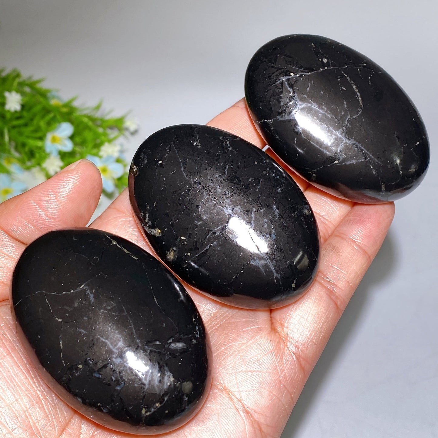 2.3" Schungite Palm Stone Crystal Healing Bulk Wholesale