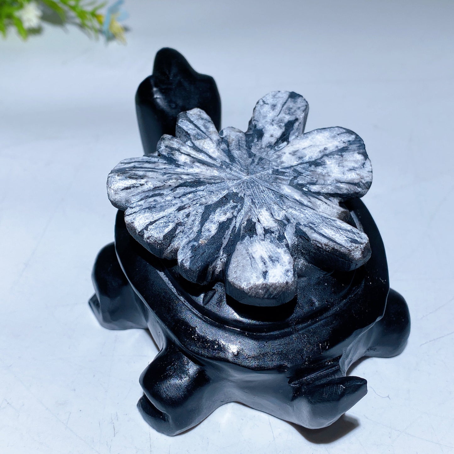 4.6" Chrysanthemum Turtle Carving Crystal Healing Bulk Wholesale