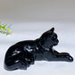 3.0" Black Obsidian Cat Carving Crystal Healing Bulk Wholesale