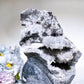 18cm Large Unique Sphelarite Grow with UV Reactive Calcite Skull Carving Crystal Healing Bulk Wholesale